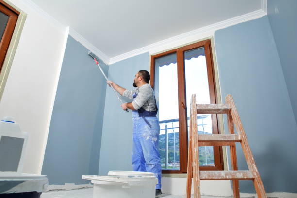 South Miami Heights, FL Mold Removal Company