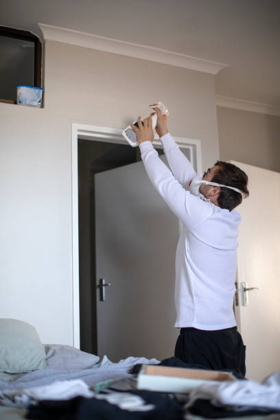 Best Black Mold Removal  in South Miami Heights, FL