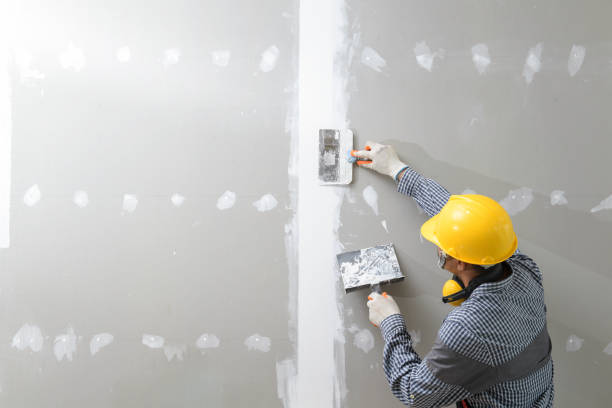 Best Dehumidification Services  in South Miami Heights, FL